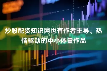 炒股配资知识网也有作者主导、热情驱动的中小体量作品